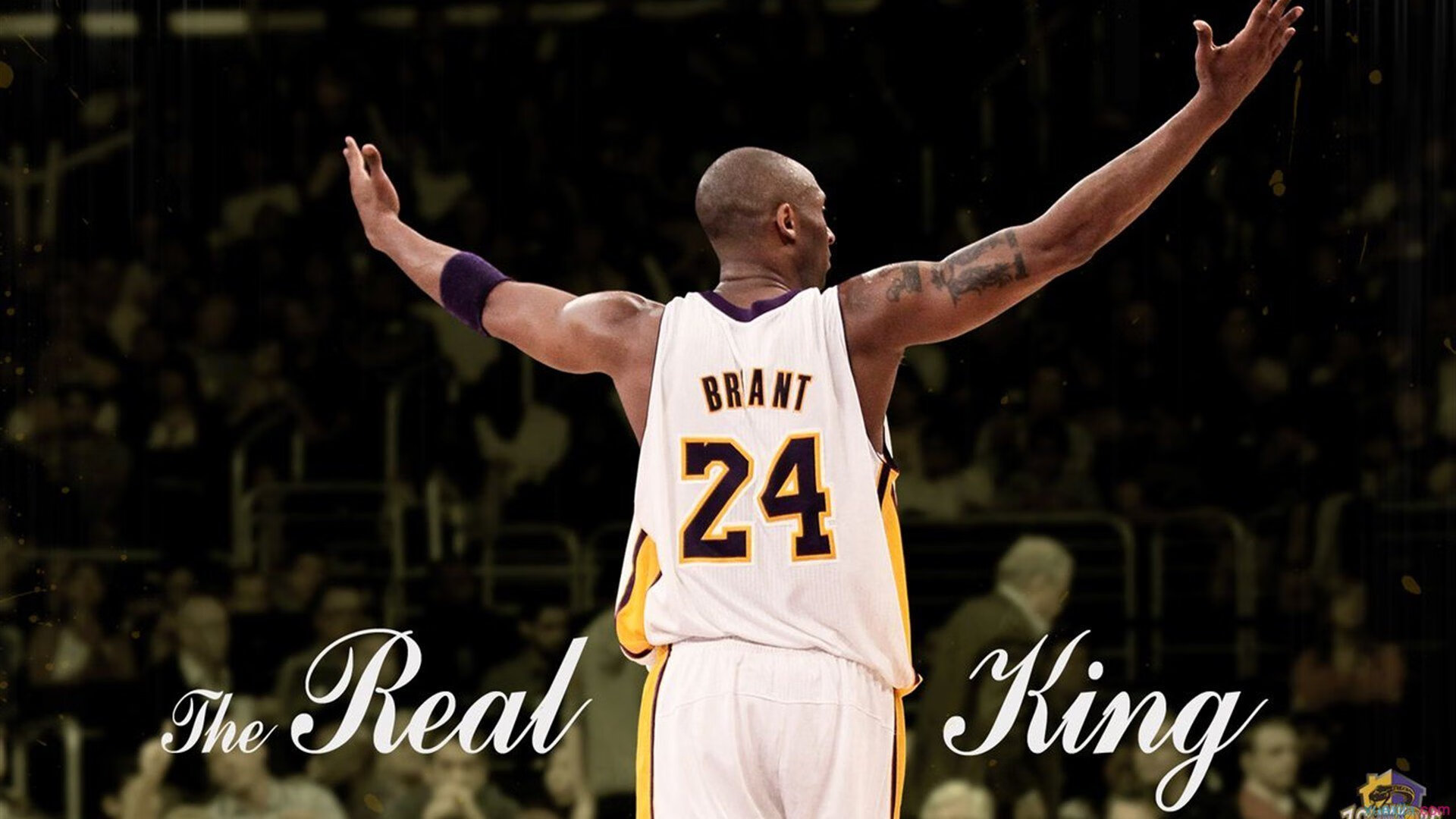 开云-湖人再胜强敌，詹姆斯全能表现惊艳，詹姆斯在湖人总得分